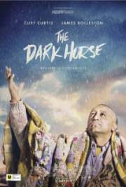 Download The Dark Horse 2014 Movie